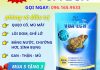 Khuyến mãi cực sốc VUA ẾCH: Mua càng nhiều, ưu đãi càng lớn