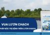 Vua lươn chạch – Giải pháp đặc trị bệnh trên lươn chạch hiệu quả