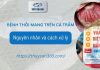 Bệnh thối mang cá trắm: Nguyên nhân và cách xử lý