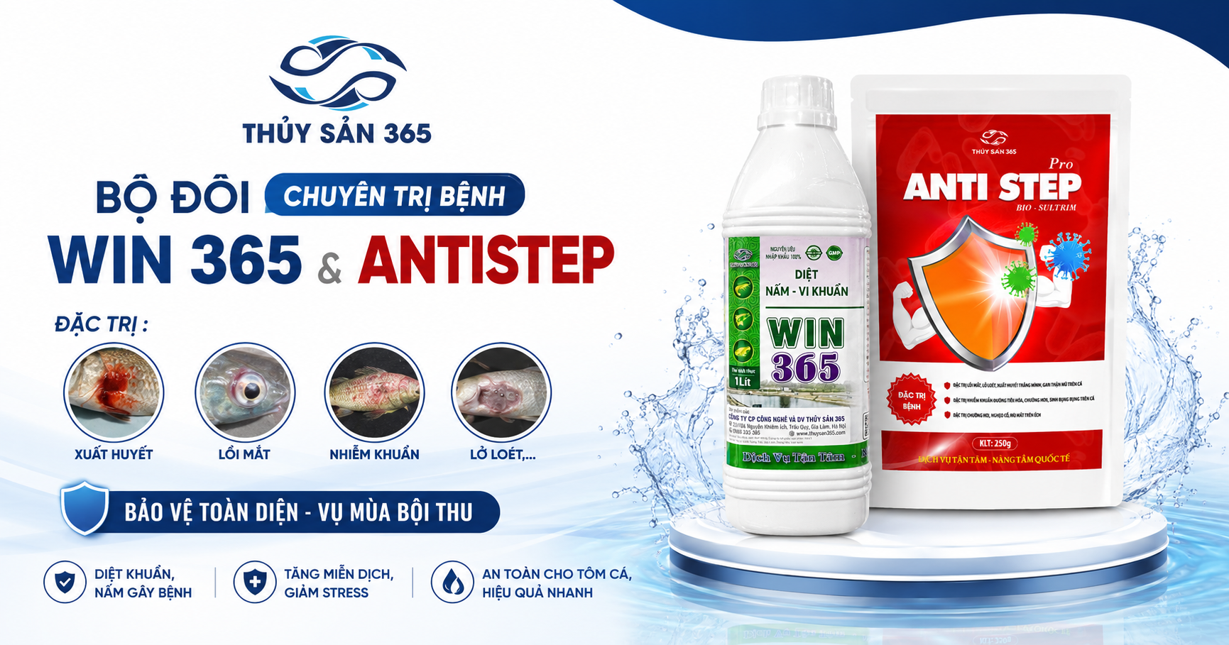 WIN 365 & ANTISTEP – Giải Pháp trị bệnh toàn diện cho cá