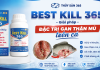 BEST KILL 365 – Giải pháp đặc trị gan thận mủ trên cá