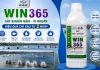 Sát khuẩn WIN365 – Đặc trị nấm, vi khuẩn trên cá hiệu quả