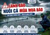 Nuôi cá mùa mưa bão: Chủ động phòng ngừa bảo vệ vật nuôi