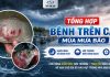 Tổng hợp bệnh trên cá mùa mưa bão