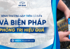 Bệnh trên cá biển: Bệnh phổ biến và cách phòng trị hiệu quả