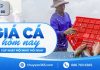 Giá cá hôm nay 14/09/2026: Thị trường duy trì ổn định