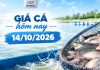 Giá cá hôm nay 14/10/2026: Thị trường tiếp tục đi ngang