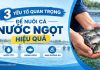 3 yếu tố quan trọng để nuôi cá nước ngọt hiệu quả