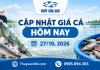 Giá cá hôm nay 27/10/2026: Thị trường giữ giá ổn định