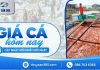 Giá cá hôm nay 02/10/2026: Thị trường duy trì ổn định