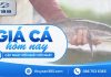 Giá cá hôm nay 03/10/2026: Một số loài nhích nhẹ
