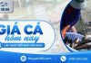 Giá cá hôm nay 17/10/2026: Mặt bằng thu mua ổn định