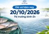 Giá cá hôm nay 20/10/2026: Thị trường tiếp tục bình ổn