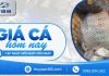 Giá cá hôm nay 23/10/2026: Diêu hồng nhích nhẹ