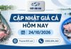 Giá cá hôm nay 24/10/2026: Thị trường cuối tuần đi ngang