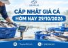 Giá cá hôm nay 29/10/2026: Thị trường duy trì ổn định